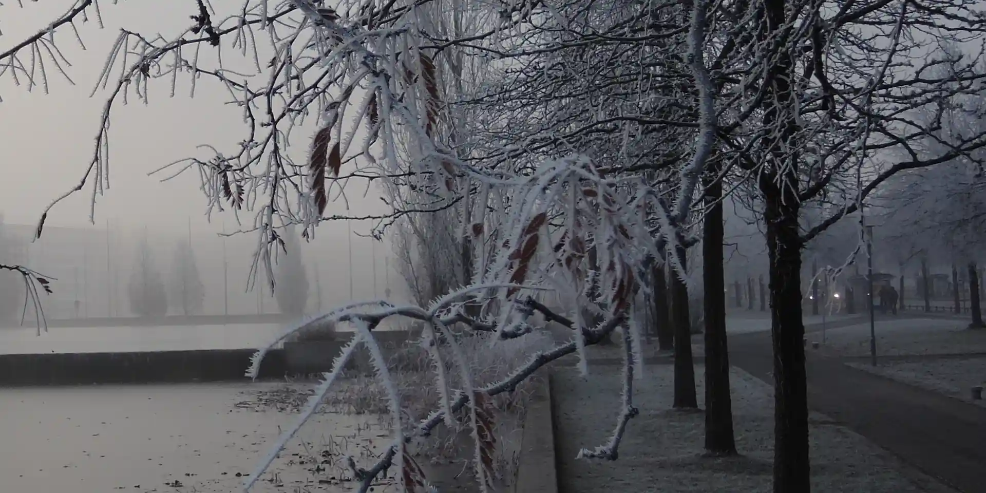 Early morning on the way to the Munich Forge accelerator