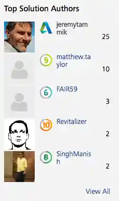 Top solution authors