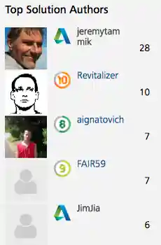 Top solution authors