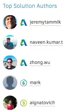 Top solution authors