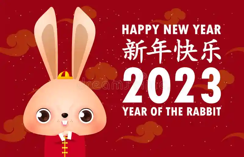 Happy New Year of the Rabbit!