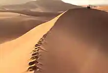 Desert dune
