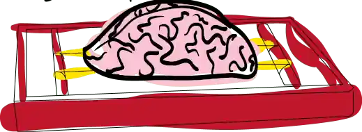 Brain rack Brain rack