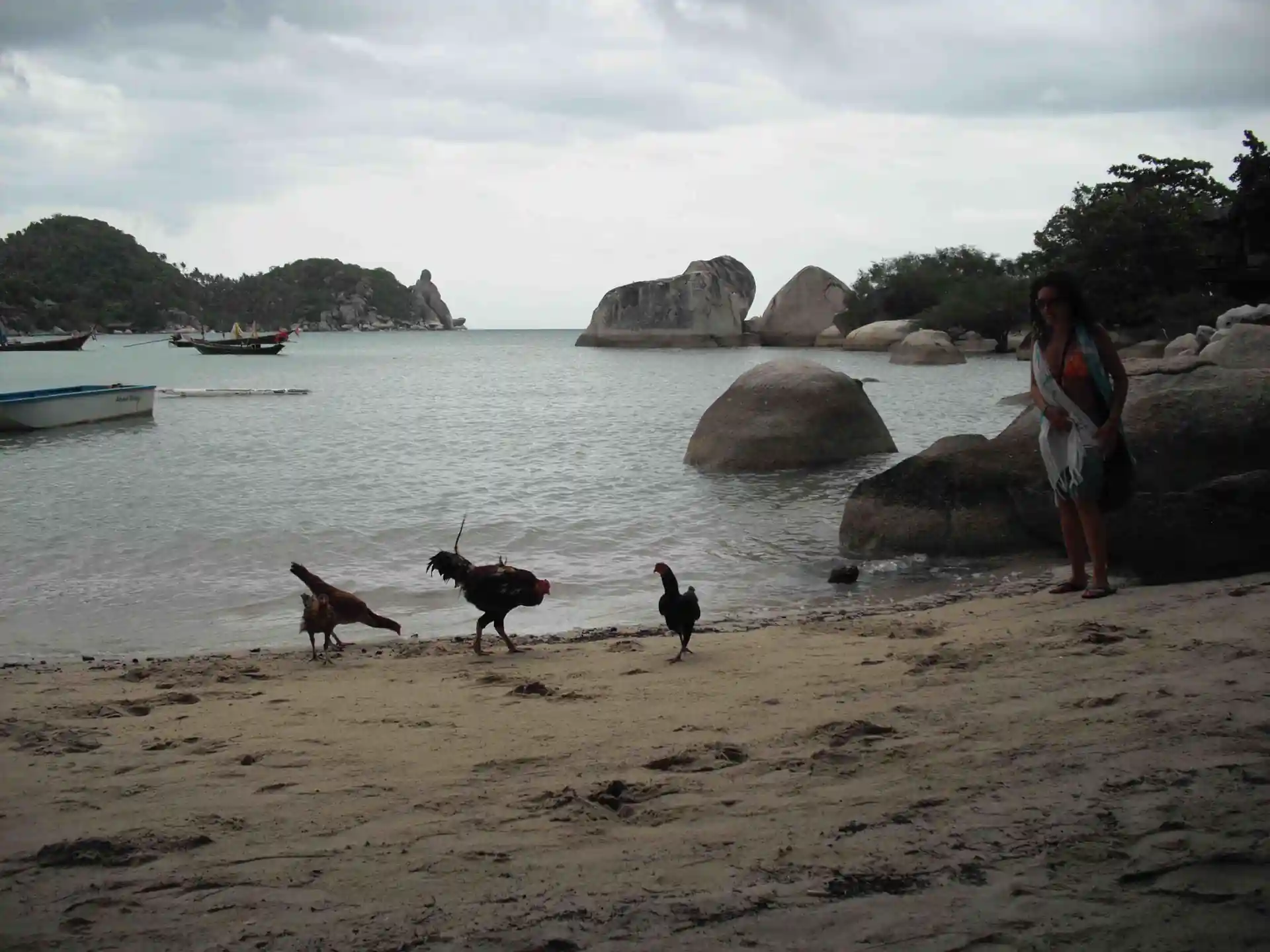 Daniela with chickens and the Buddha Rock