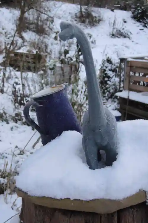 Dino in snow Dino in snow