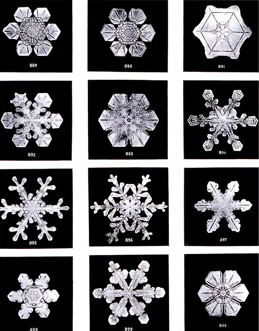 Emergence in snowflakes Emergence in snowflakes