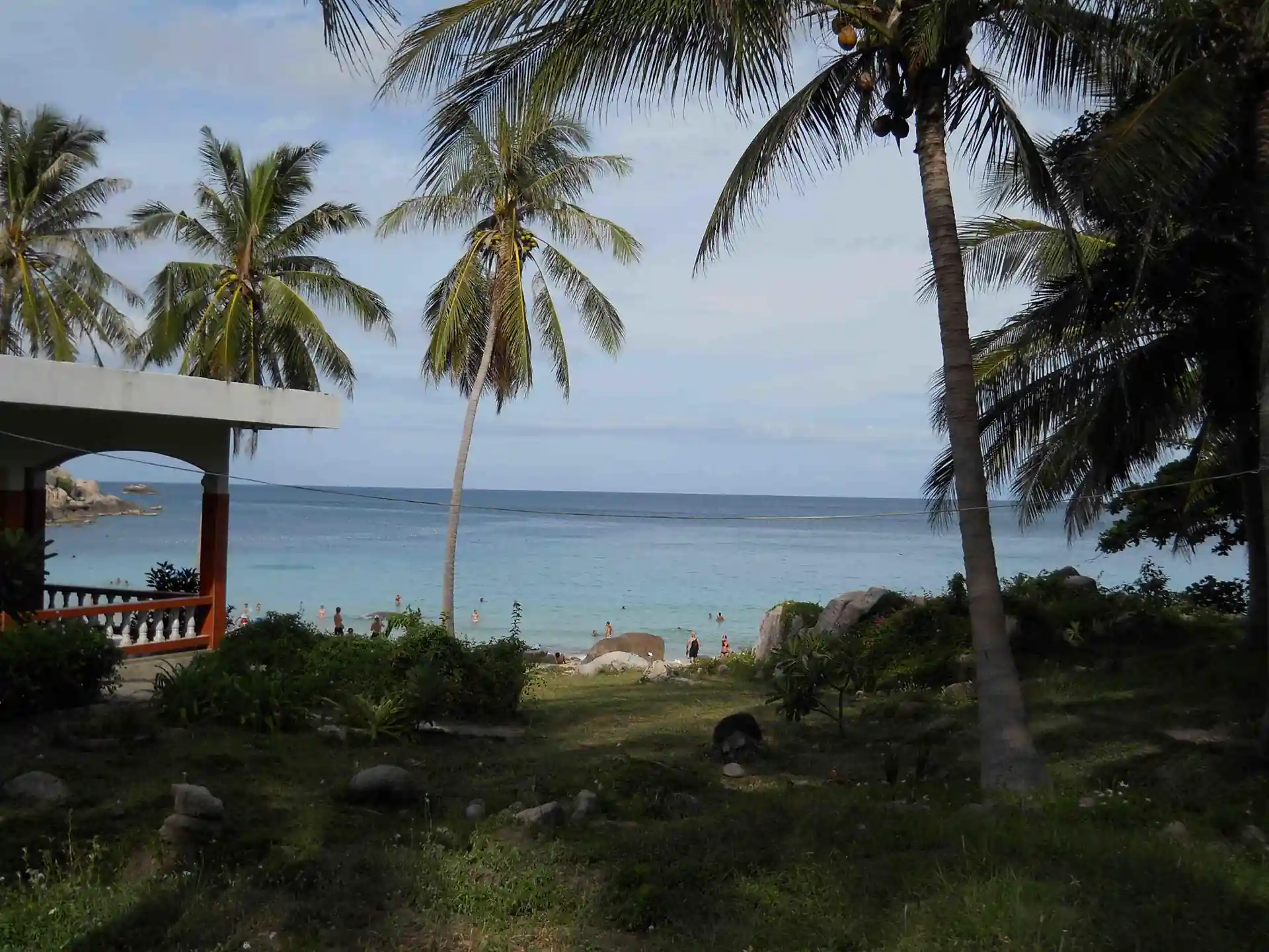 Palm trees in Aow Leuk Bay