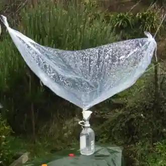 Rain water collector Rain water collector