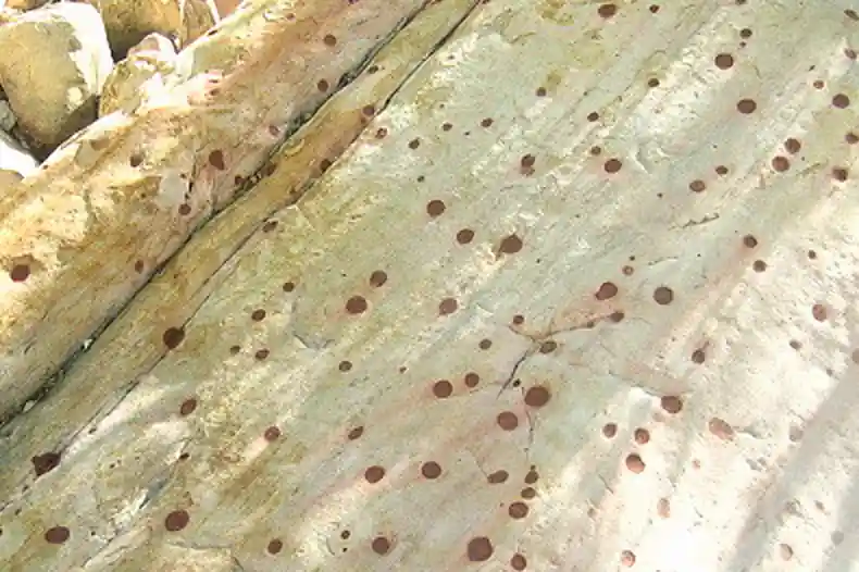 Spotted rock at Red Rock