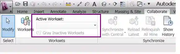 Active workset label
