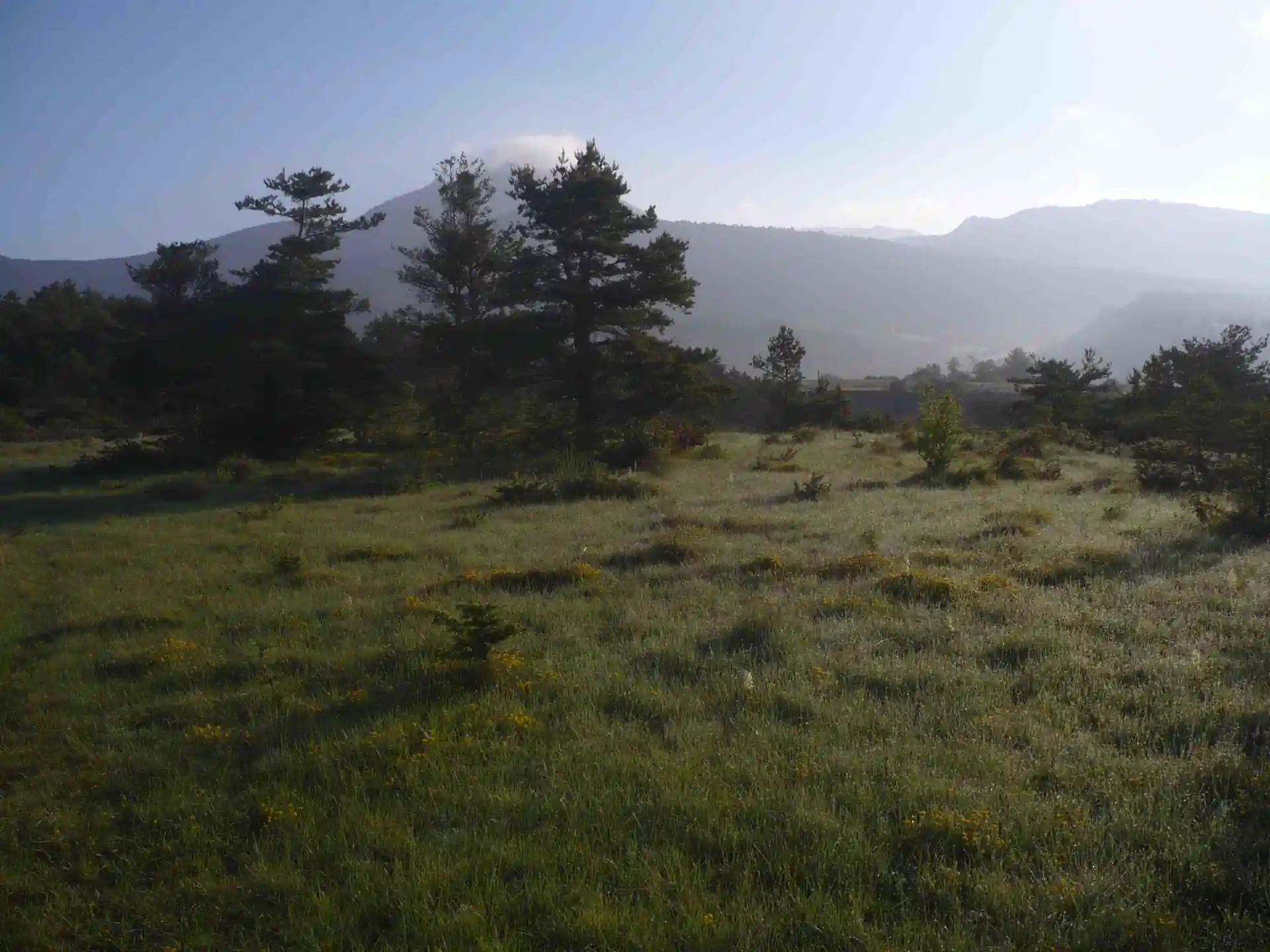 Our camp site in the morning dew