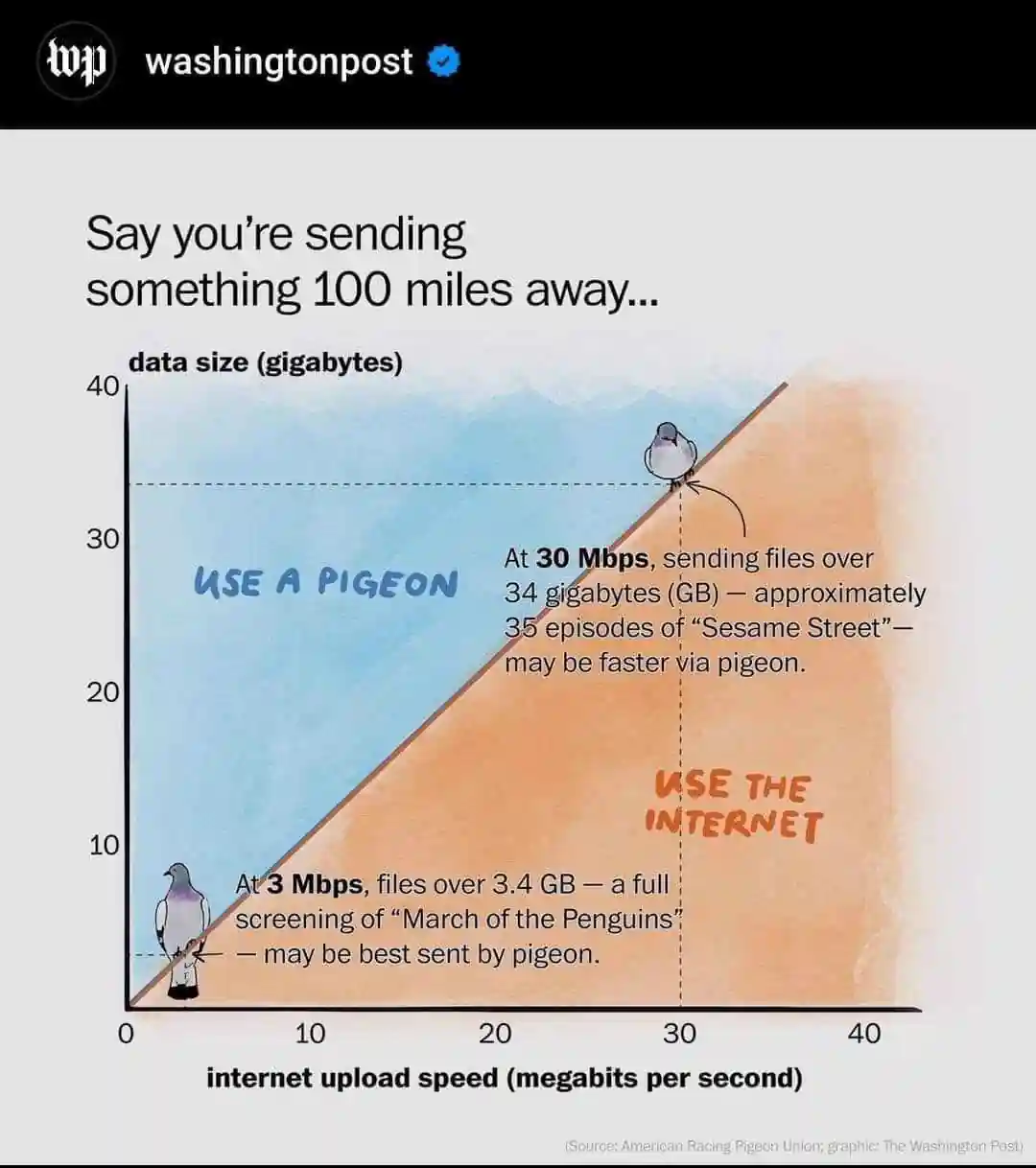 Send data by pigeon Send data by pigeon