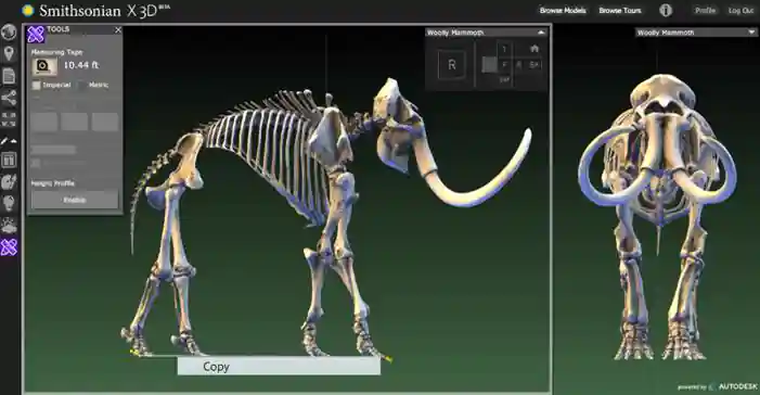 Smithsonian artefact