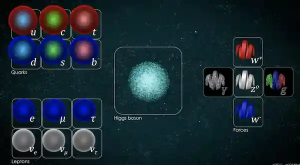 Standard model Standard model